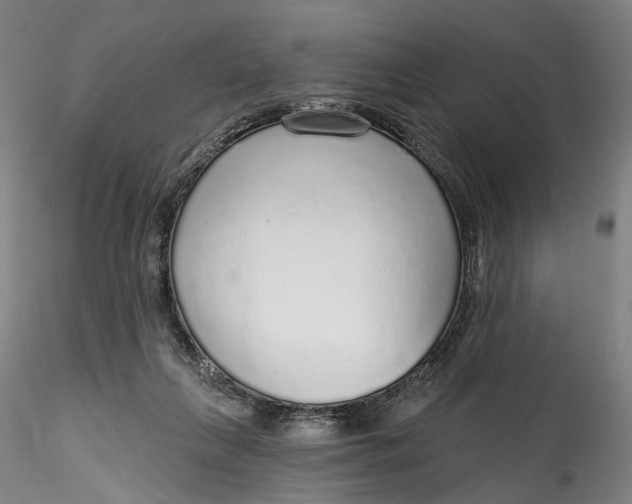 X0000115550263200911271440