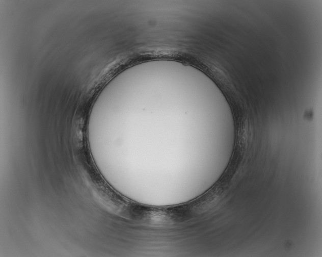 X0000115550264200911271440