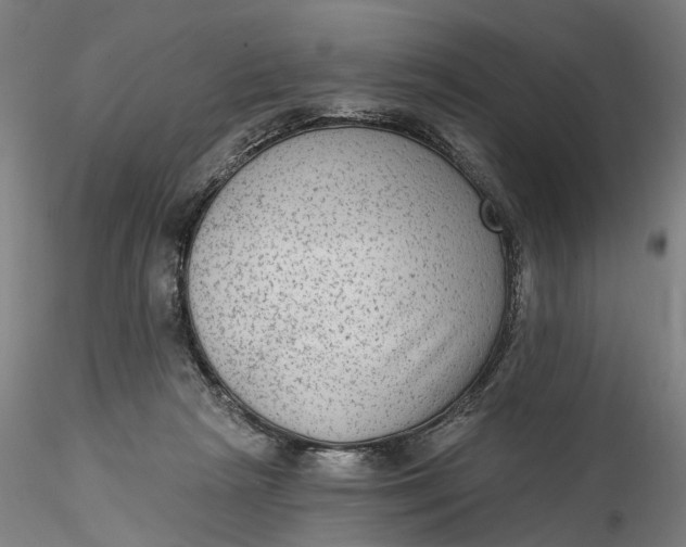 X0000115550265200911271440