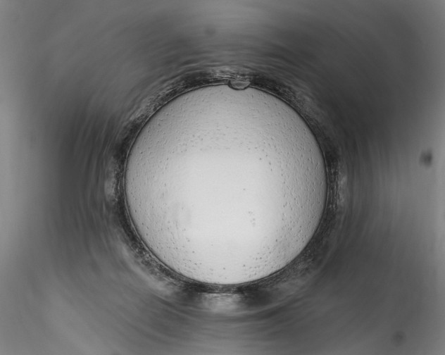 X0000115550266200911271440