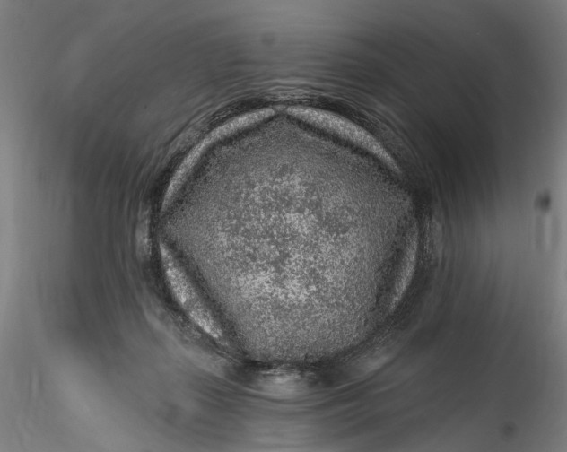 X0000115550267200911271440