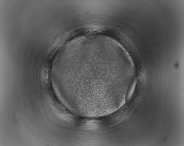 X0000115550268200911271440