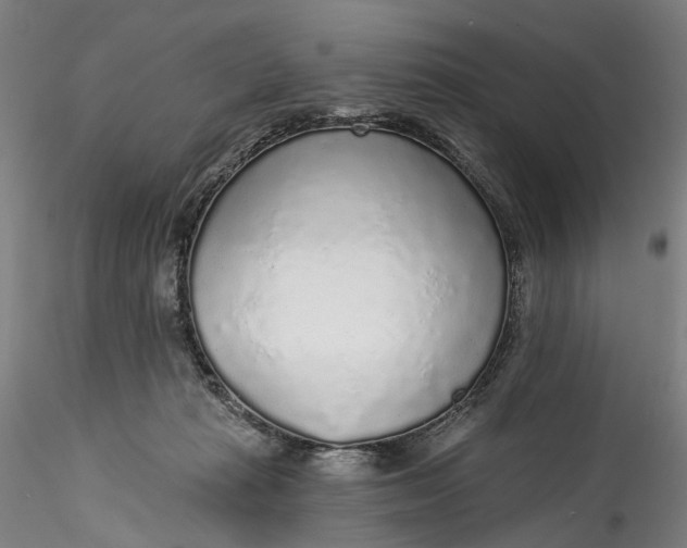 X0000115550269200911271440