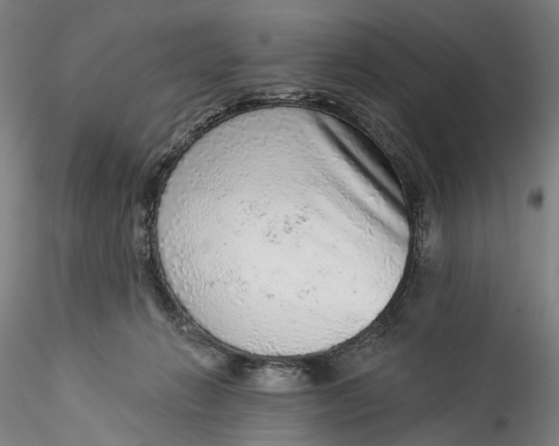 X0000115550270200911271440