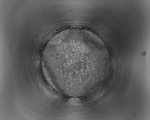 X0000115550271200911271440