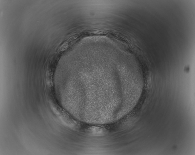 X0000115550272200911271440