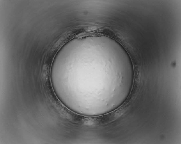 X0000115550273200911271440