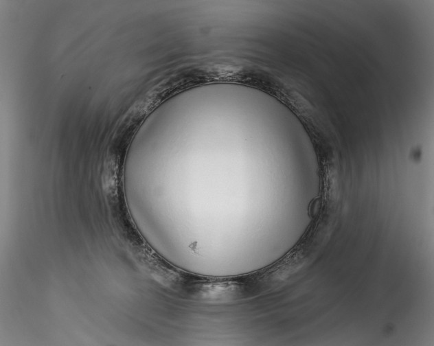 X0000115550274200911271440