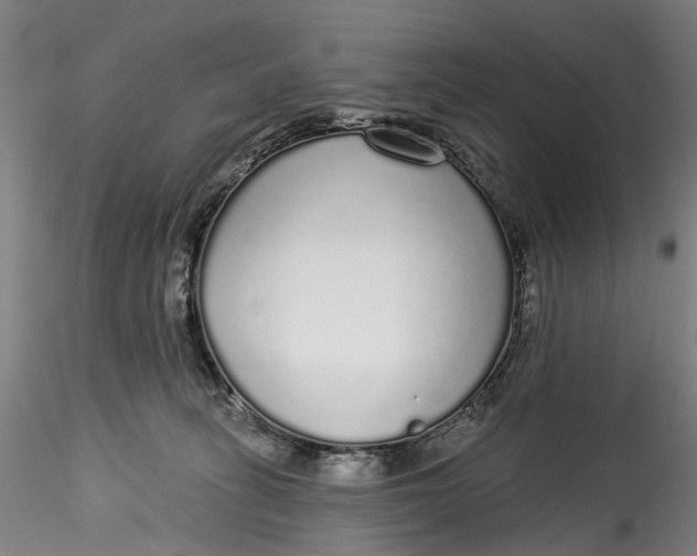 X0000115550275200911271440