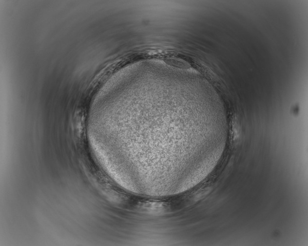 X0000115550276200911271440