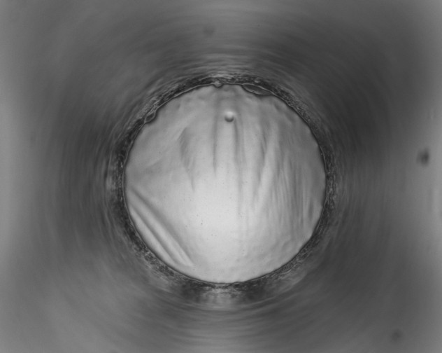 X0000115550277200911271440