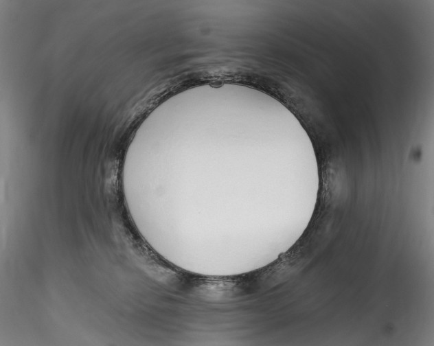 X0000115550278200911271440