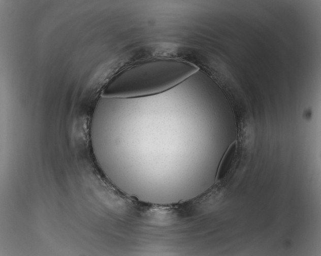 X0000115550280200911271440