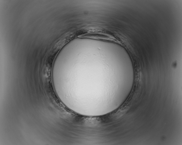 X0000115550281200911271440