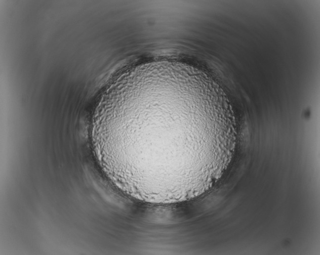 X0000115550282200911271440