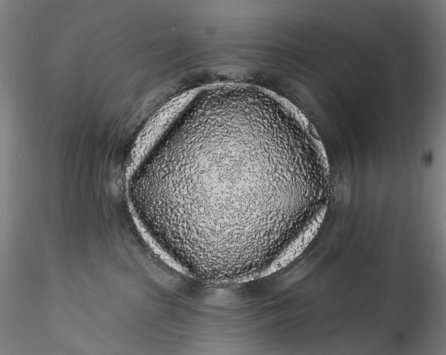 X0000115550285200911271440