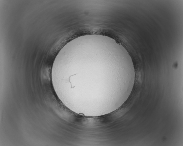 X0000115550286200911271440