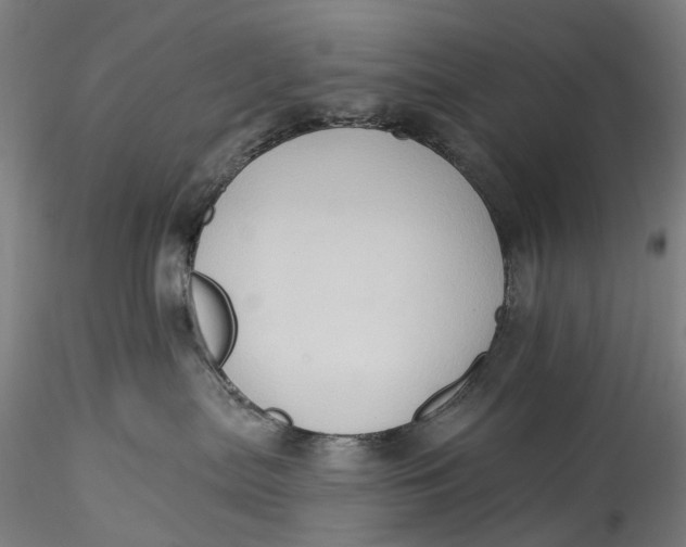 X0000115550287200911271441