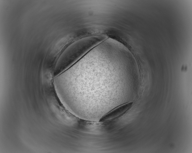 X0000115550288200911271441