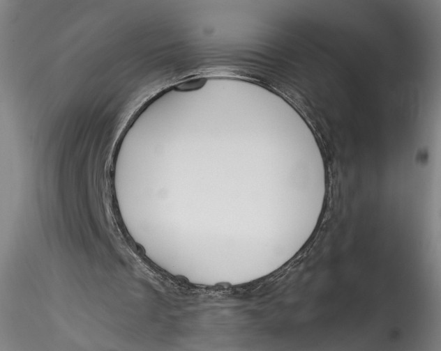 X0000115550289200911271440