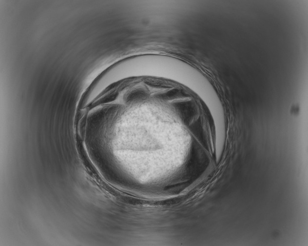 X0000115550292200911271440