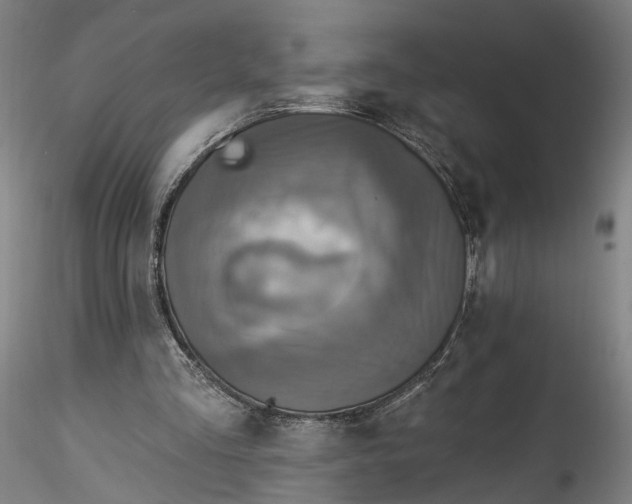 X0000115550293200911271440