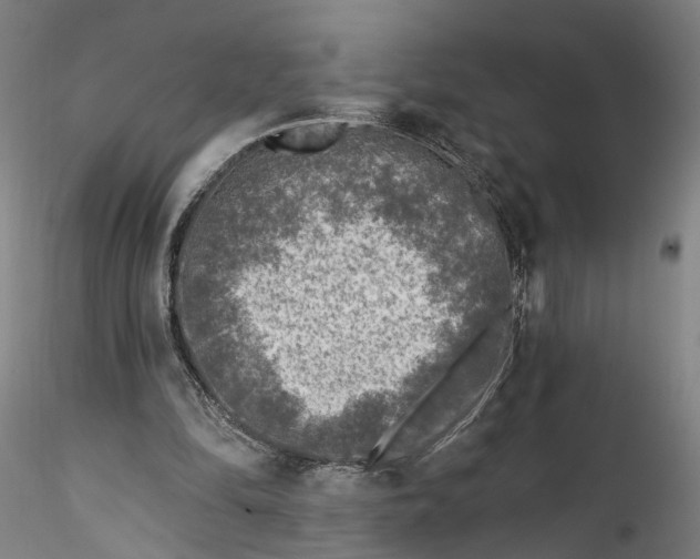 X0000115550294200911271440