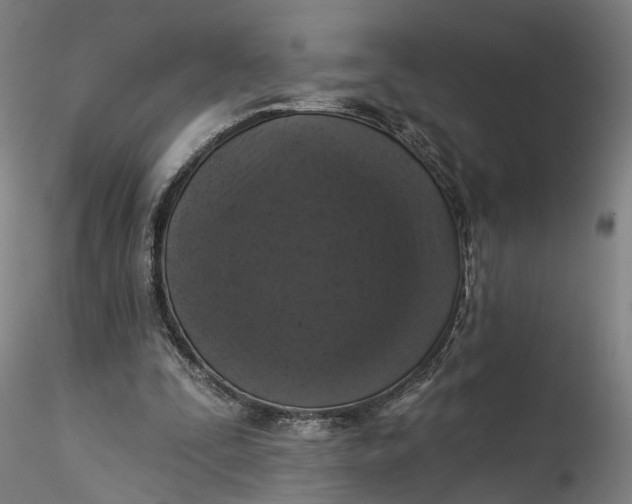 X0000115550295200911271440