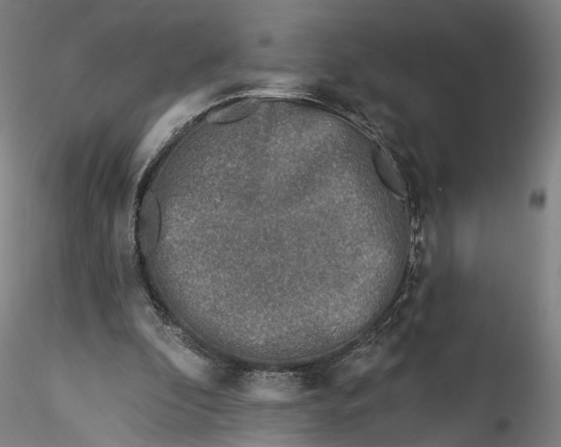 X0000115550296200911271440