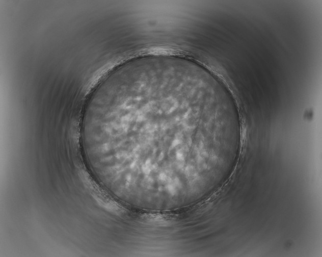 X0000115550297200911271440