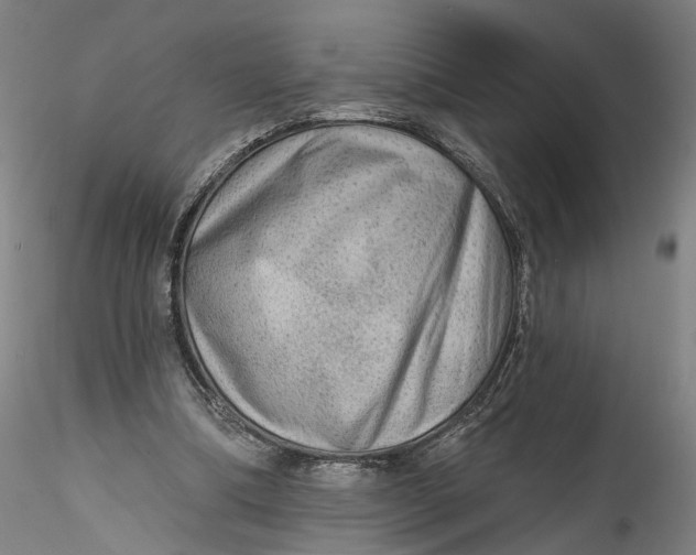 X0000115550298200911271440