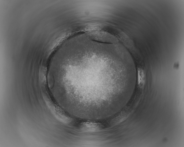 X0000115550300200911271440