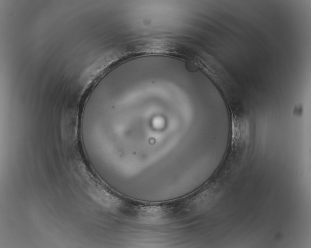 X0000115550301200911271440