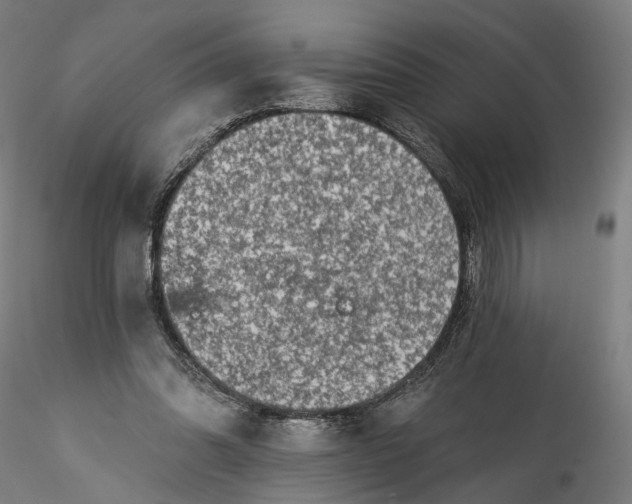 X0000115550302200911271440