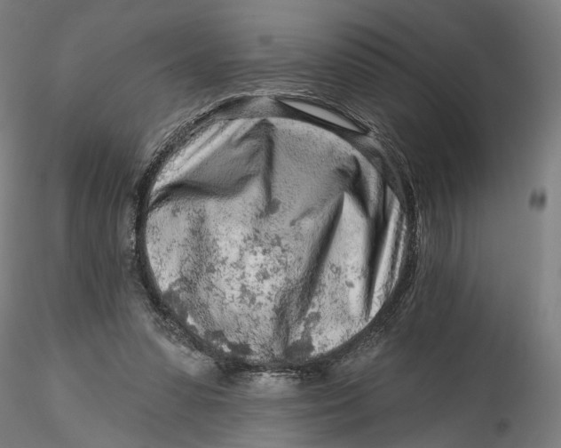 X0000115550303200911271440