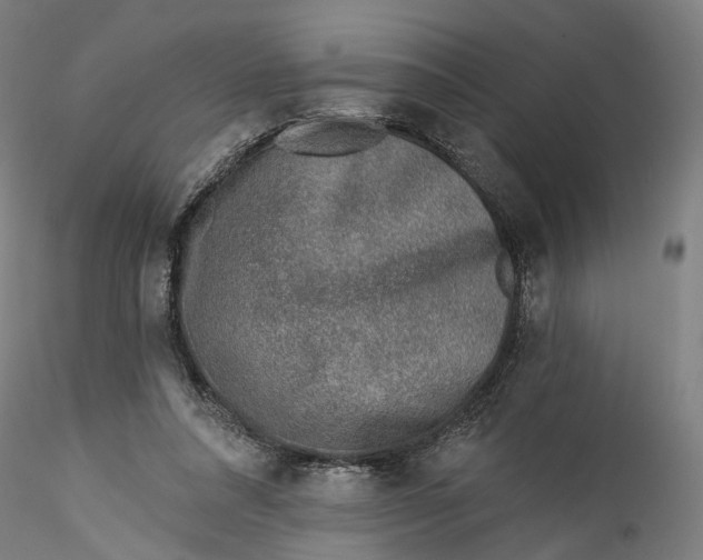 X0000115550304200911271440