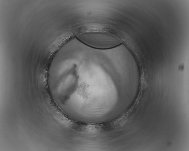 X0000115550305200911271440