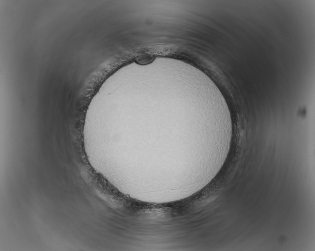 X0000115550307200911271440