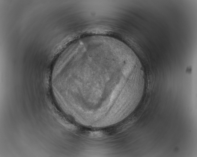 X0000115550309200911271440