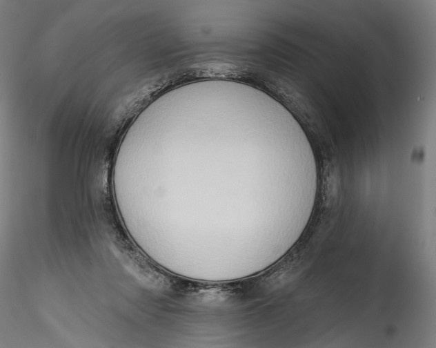 X0000115550310200911271440