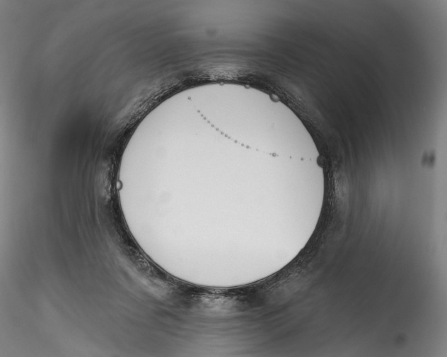 X0000115550311200911271440