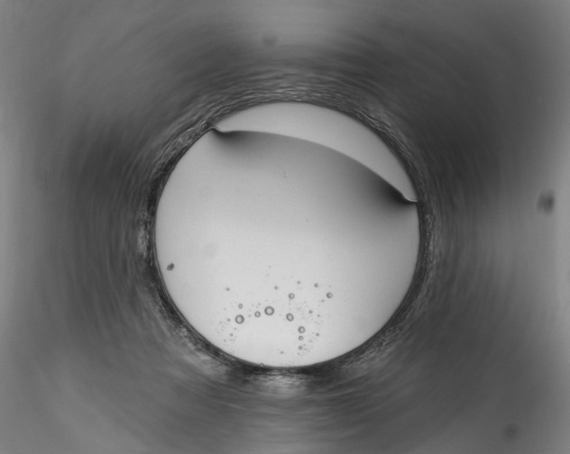 X0000115550313200911271440