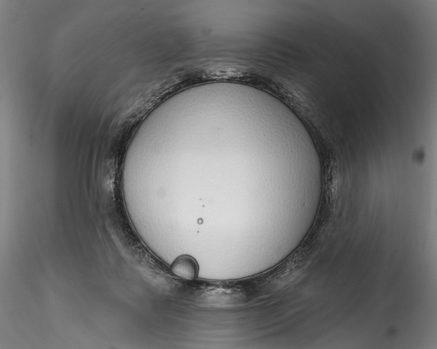 X0000115550315200911271439