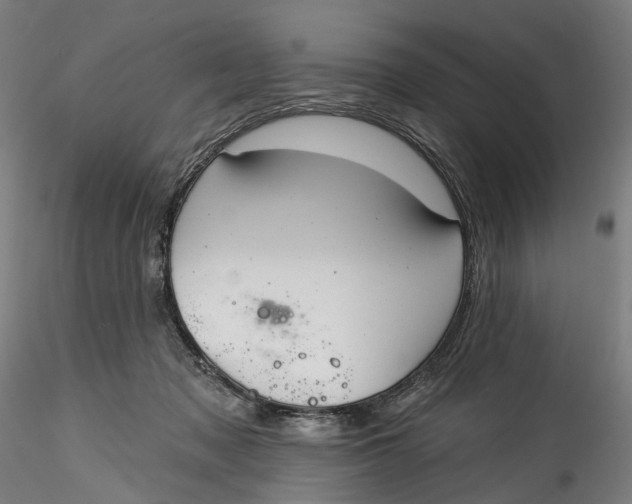 X0000115550317200911271439