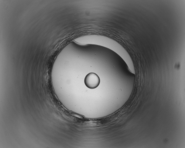 X0000115550320200911271439