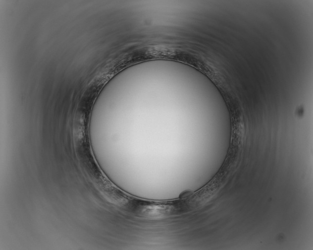 X0000115550323200911271439