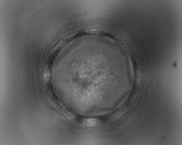 X0000115550324200911271439