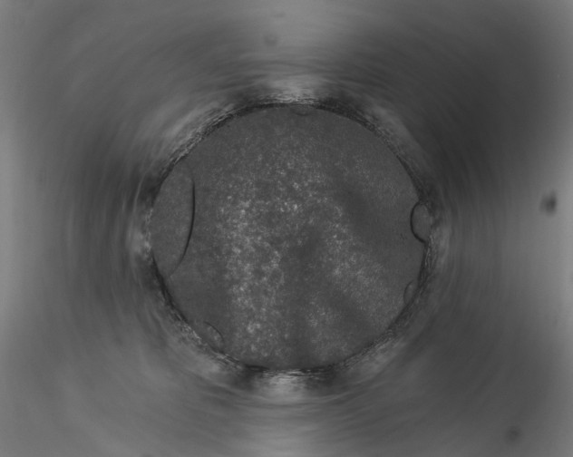 X0000115550325200911271439