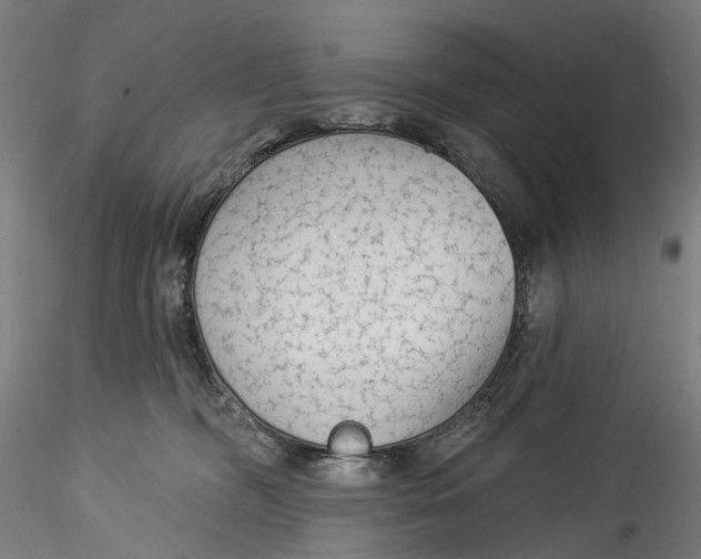 X0000115550326200911271439