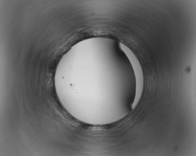 X0000115550327200911271439